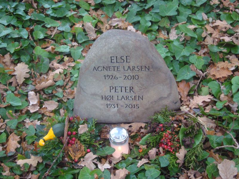 Peter Hoei Larsen.JPG